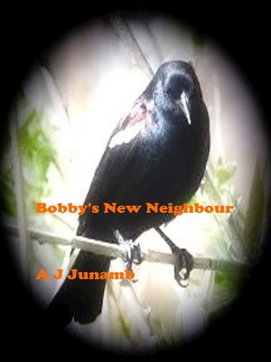 cover image of Bobby's New Neighbour